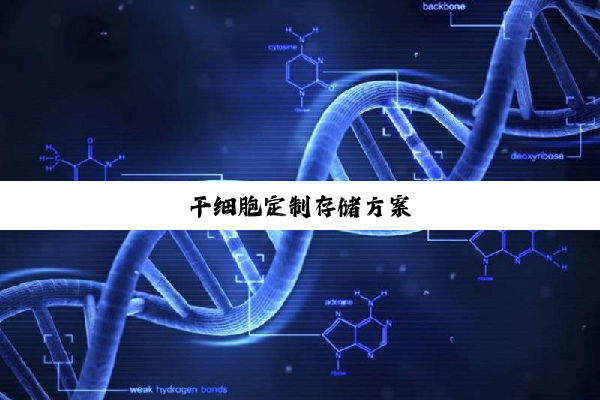 干细胞定制存储方案