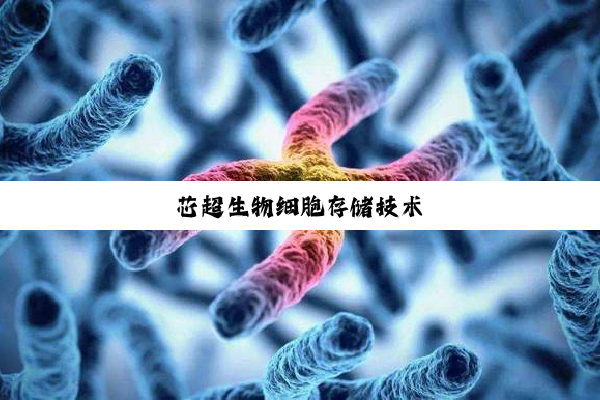 芯超生物细胞存储技术