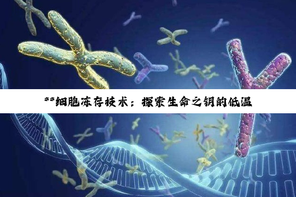 **细胞冻存技术：探索生命之钥的低温守护艺术**