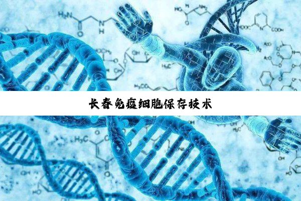 长春免疫细胞保存技术