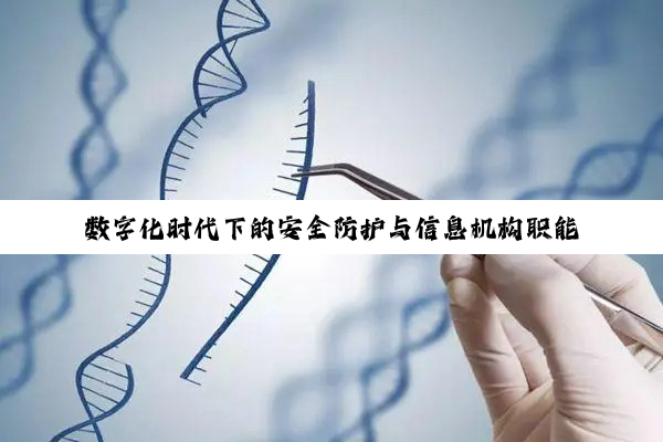 数字化时代下的安全防护与信息机构职能解析