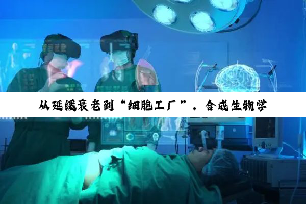 从延缓衰老到“细胞工厂”，合成生物学重构生命密码