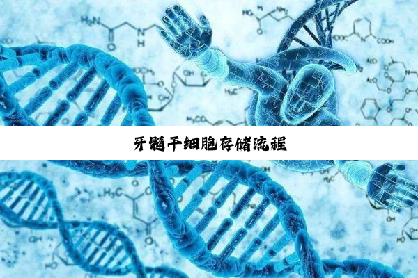 牙髓干细胞存储流程