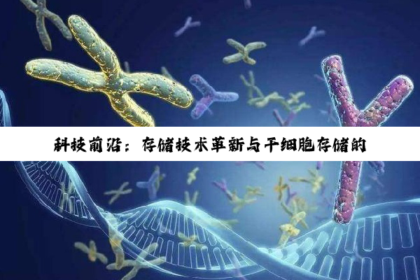 科技前沿：存储技术革新与干细胞存储的多元化应用探索