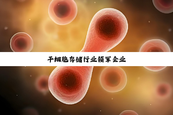 干细胞存储行业领军企业
