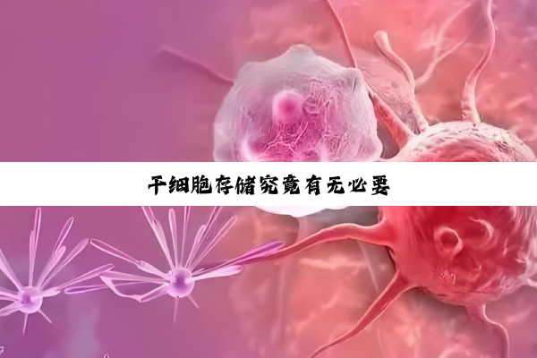 干细胞存储究竟有无必要